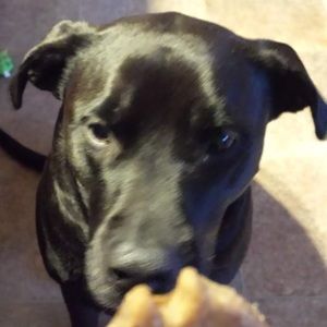 Meet your Posher, Michele